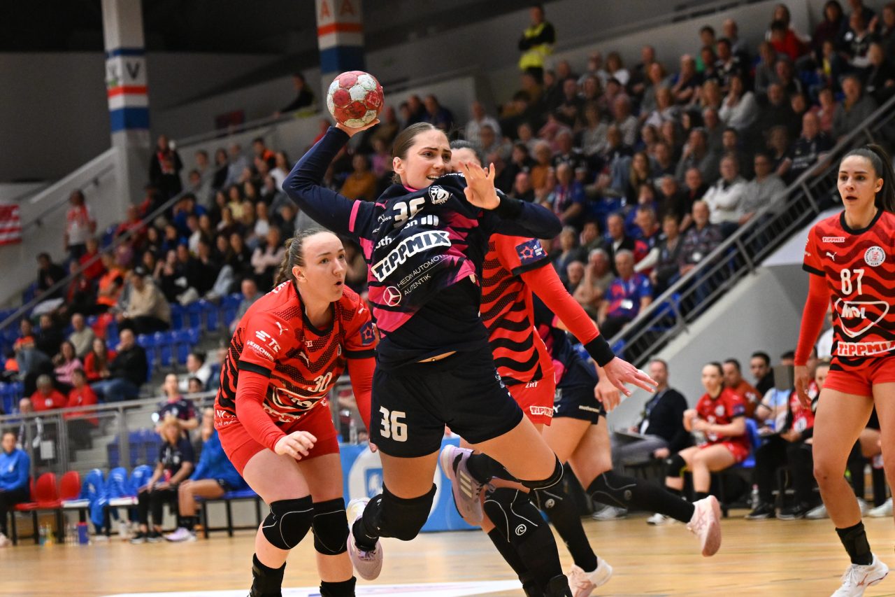 55168273451_565176ce09_k