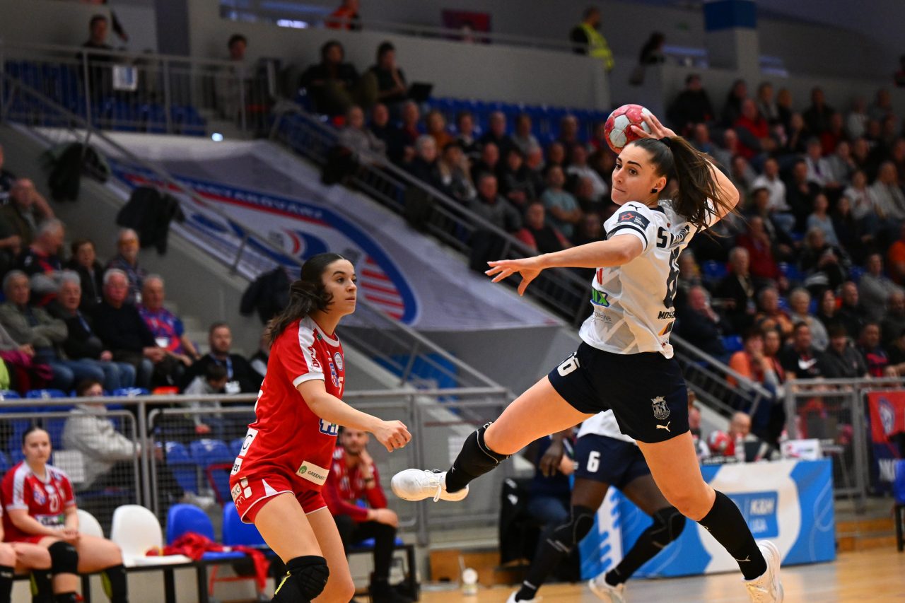 55183774351_90133eb581_k